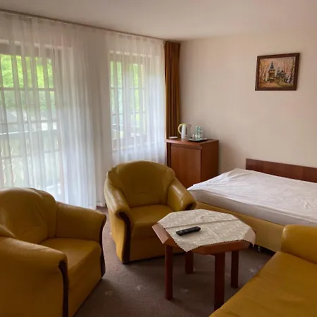 Hotel Grant Krynica-Zdrój Zewnętrze zdjęcie