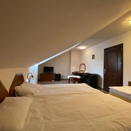 Hotel Grant Krynica-Zdrój Zewnętrze zdjęcie